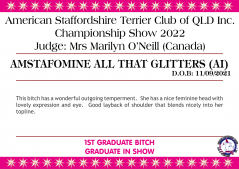 Class 7a - Amstafomine All That Glitters (AI).png